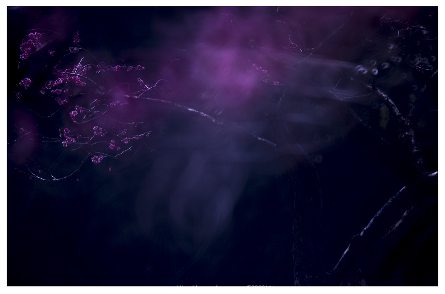 开云电竞-
前7月电视剧峰值排行:《陈情令》断崖式夺冠 时间点戳中泪腺(图3) 开云电竞