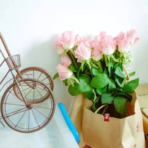 开云电竞官方网站