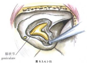 他们学暴徒占机场誓做“第二个香港”西方傻眼了_开云电竞(图1) 开云电竞