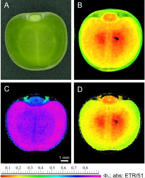 ‘开云电竞官方网站’FC31最新试飞照曝光:灰色涂装洋气旁边三轮车抢眼(图4) 开云电竞官方网站