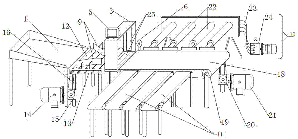 开云电竞官方网站
