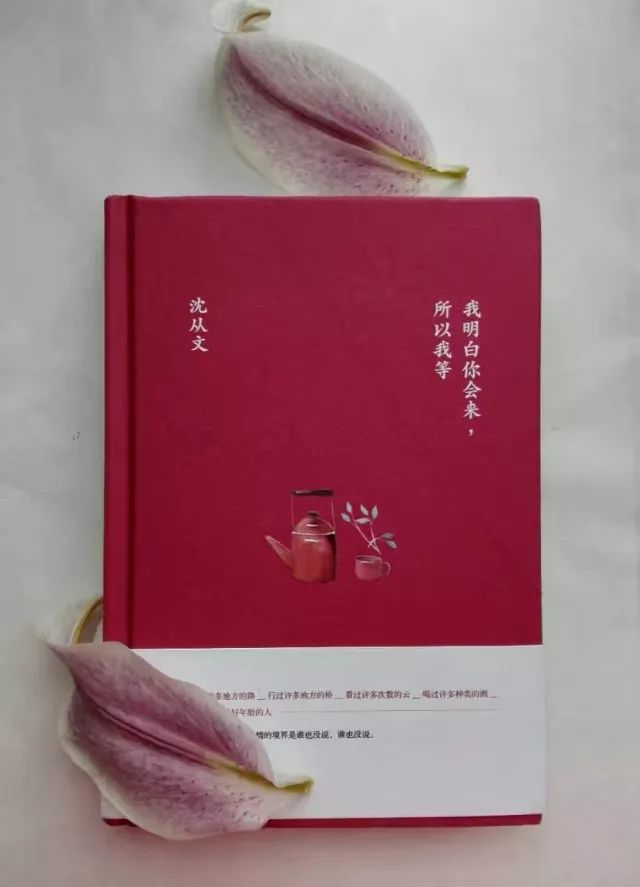 【开云电竞官方网站】惊天阴谋被识破,金正恩果断翻脸,韩国懵了!(图2) 开云电竞官方网站