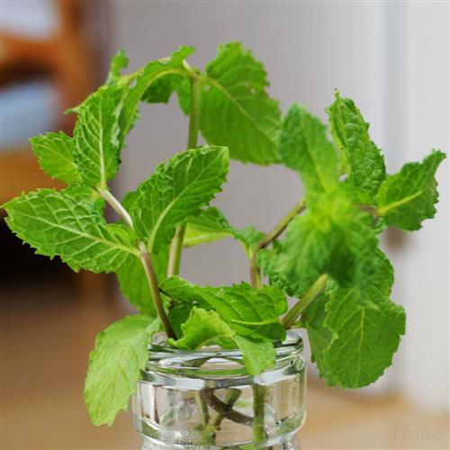 2019中国航天“十”事:从月背影像图到多项发射记录【开云电竞官方网站】(图3) 开云电竞中国