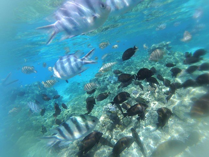 2019中国航天“十”事:从月背影像图到多项发射记录【开云电竞官方网站】(图2) 开云电竞官方网站