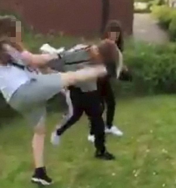 开云电竞官方网站