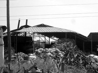 俄2架战略轰炸机巡航日本海韩日战机升空伴飞监视‘开云电竞’(图1) 开云电竞