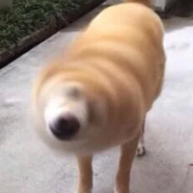 开云电竞官方网站