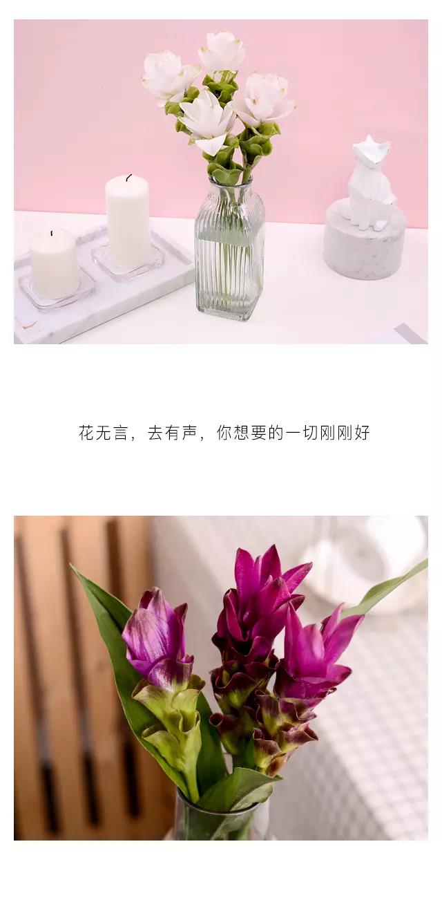 开云电竞