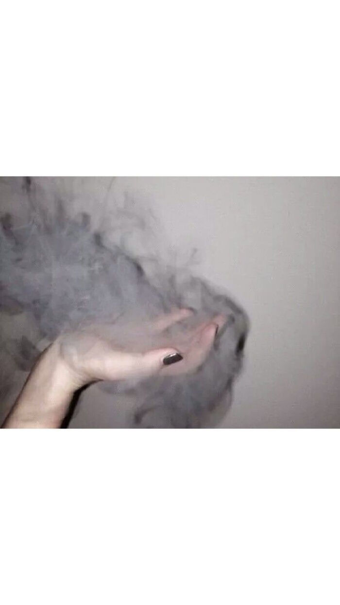 开云电竞