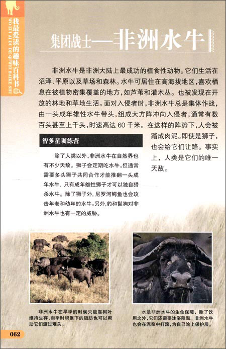 开云电竞